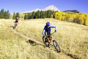 Mountain bikers
